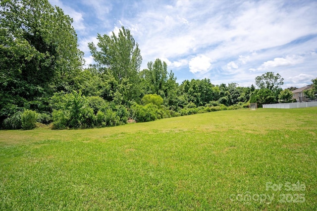 10818 Alvarado Way, Charlotte, NC 28277 - view of yard