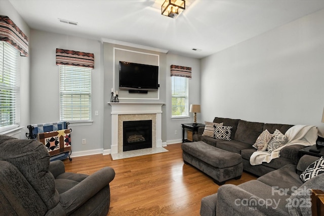 10818 Alvarado Way, Charlotte, NC 28277 - living area with wood finished floors and a fireplace