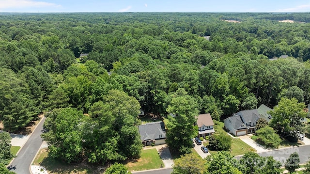 4603 Magnolia Ridge Dr, Waxhaw, NC 28173 - photo 47