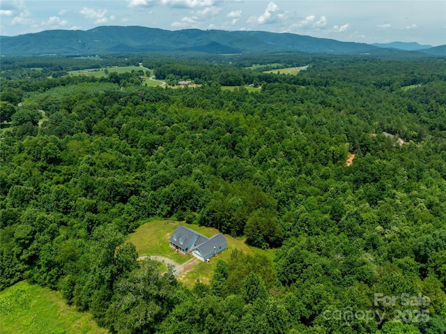 3018 S Center Church Rd, Thurmond, NC 28683 - photo 5