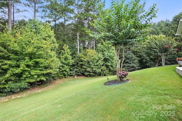 76949 Gauley Dr, Lancaster, SC 29720 - photo 37