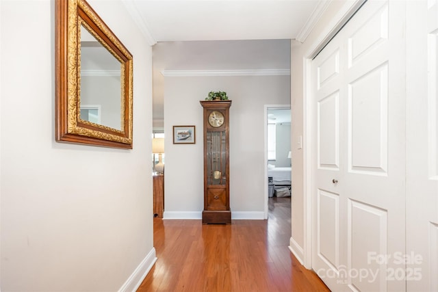 1300 Reece Rd Unit 402, Charlotte, NC 28209 - hall with wood finished floors and crown molding