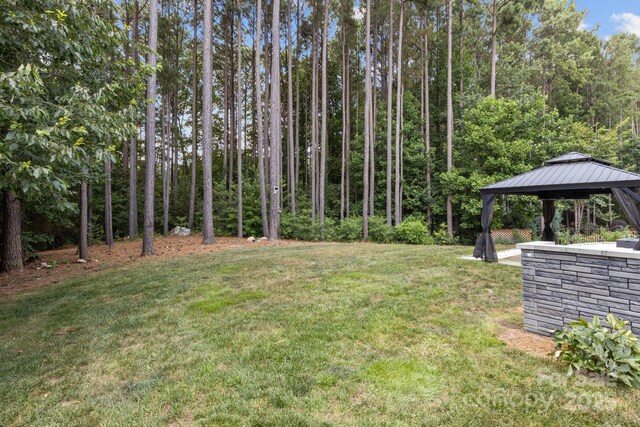 213 Beech Bluff Dr, Mount Holly, NC 28120 - photo 12