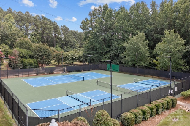 213 Beech Bluff Dr, Mount Holly, NC 28120 - photo 46