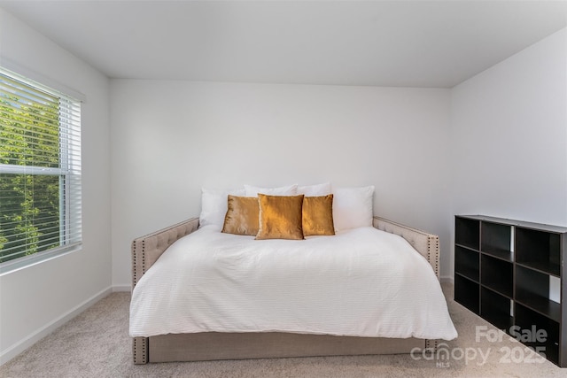 5010 Arbordale Way, Mount Holly, NC 28120 - carpeted bedroom featuring multiple windows