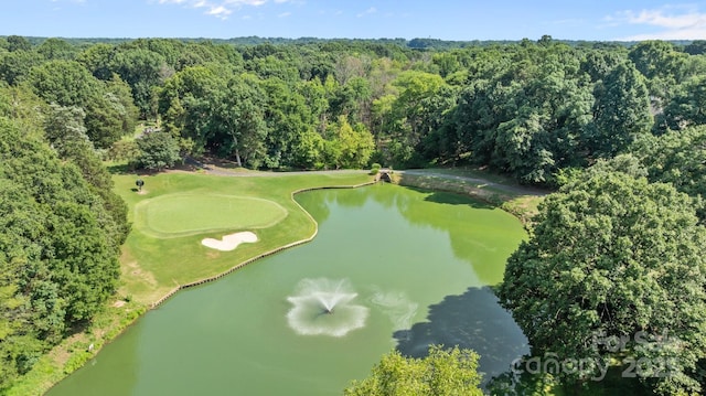 4208 Burning Tree Dr, Charlotte, NC 28277 - aerial view of a nearby body of water