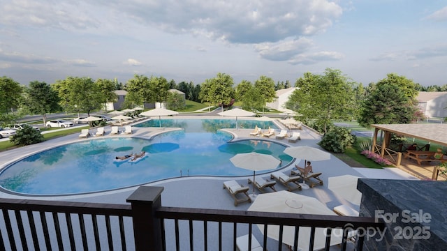 225 Runner Stone Ln, Fort Mill, SC 29715 - swimming pool with a patio area