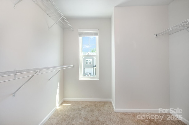 172 Briana Marie Way, Indian Trail, NC 28079 - photo 20