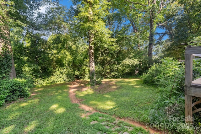 6632 Candlewood Dr, Charlotte, NC 28210 - view of grassy yard