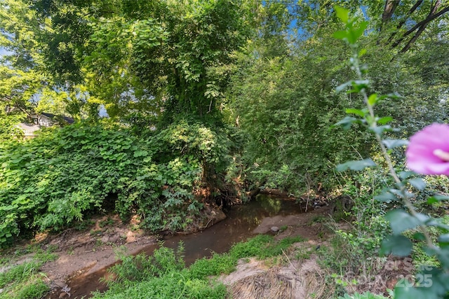 6632 Candlewood Dr, Charlotte, NC 28210 - view of undeveloped land