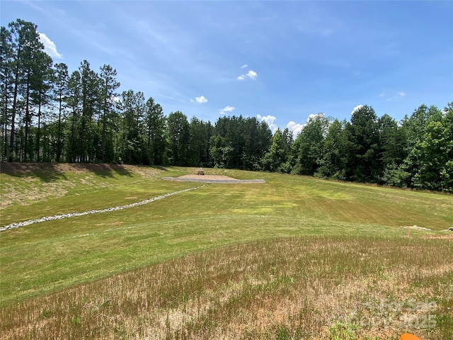 6140 Balham Ct Unit Ken0059, Charlotte, NC 28215 - view of green lawn
