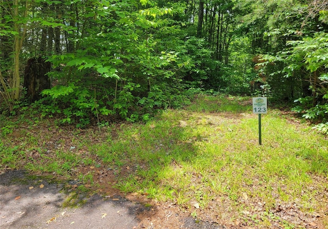TBD Bear River Lodge Trail 124, Marshall, NC 28753