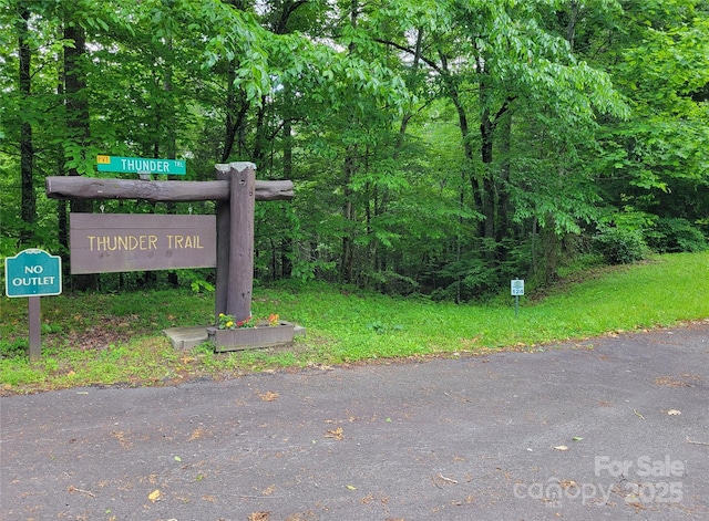 TBD Bear River Lodge Trail 124, Marshall, NC 28753