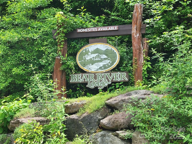 TBD Bear River Lodge Trail 124, Marshall, NC 28753