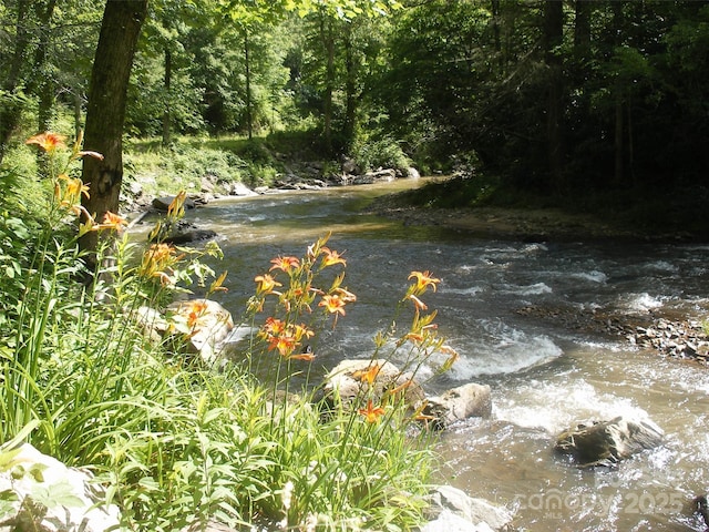 TBD Bear River Lodge Trail 124, Marshall, NC 28753