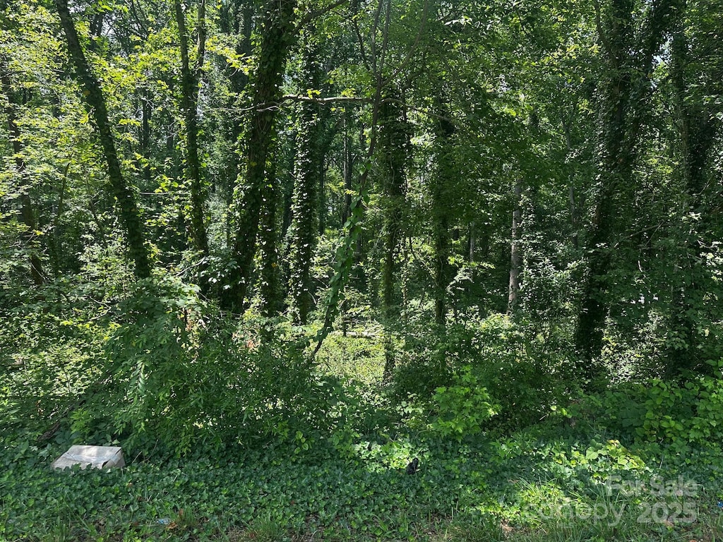 0000 Maryland Dr, Forest City, NC 28043 - photo 2