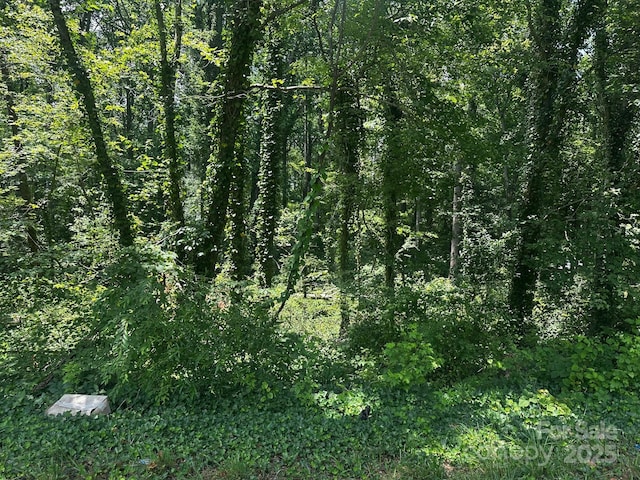 0000 Maryland Dr, Forest City, NC 28043 - photo 2