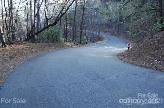 LOT30 Summit Ct Unit 30, Lake Lure, NC 28746 - photo 2