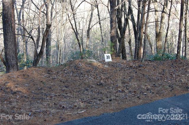LOT30 Summit Ct Unit 30, Lake Lure, NC 28746 - photo 3
