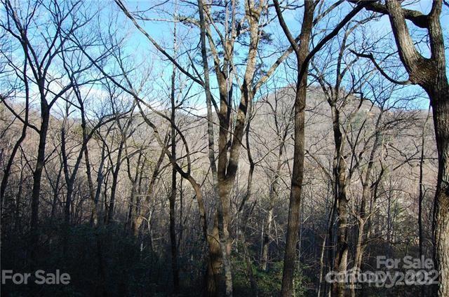 LOT30 Summit Ct Unit 30, Lake Lure, NC 28746 - photo 5