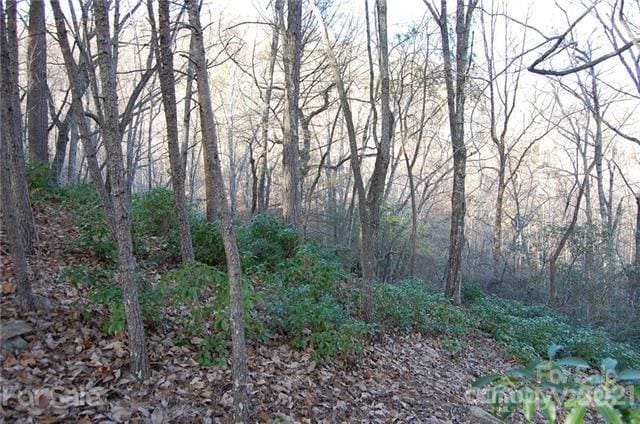 LOT30 Summit Ct Unit 30, Lake Lure, NC 28746 - photo 6