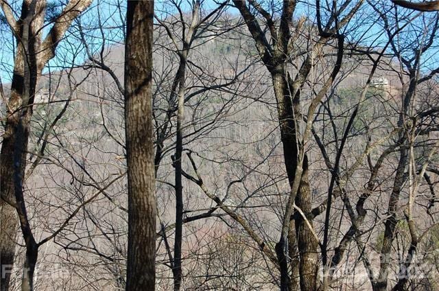 LOT30 Summit Ct Unit 30, Lake Lure, NC 28746 - photo 7