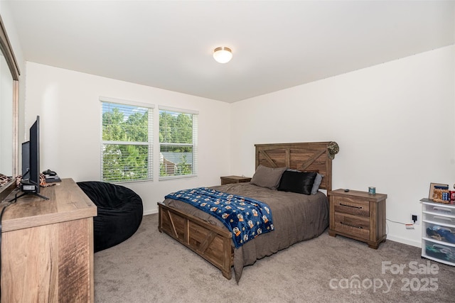 839 Foxglove Ln, York, SC 29745 - photo 24