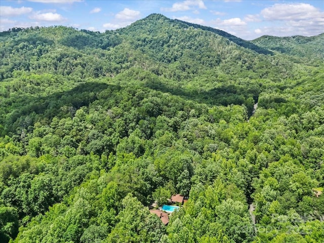 861 Terry Creek Rd, Travelers Rest, SC 29690 - photo 31