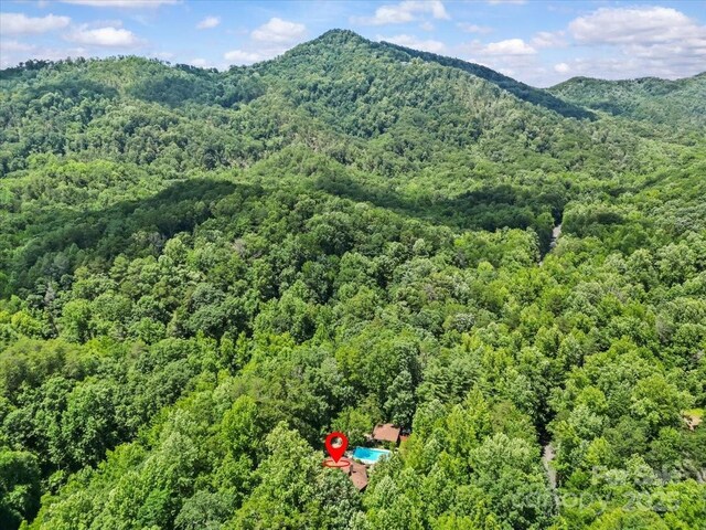 861 Terry Creek Rd, Travelers Rest, SC 29690 - photo 32