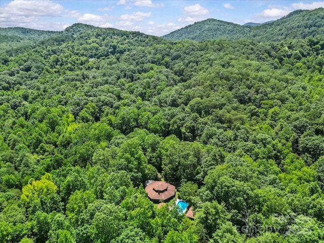 861 Terry Creek Rd, Travelers Rest, SC 29690 - photo 33