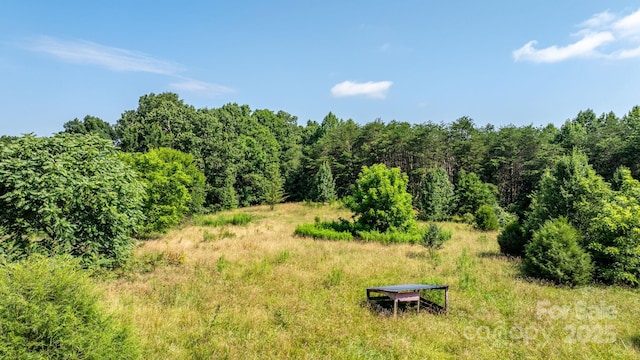 6314 Providence Church Rd, Vale, NC 28168 - view of undeveloped land