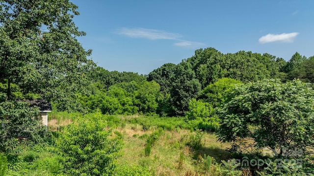 6314 Providence Church Rd, Vale, NC 28168 - view of wooded area