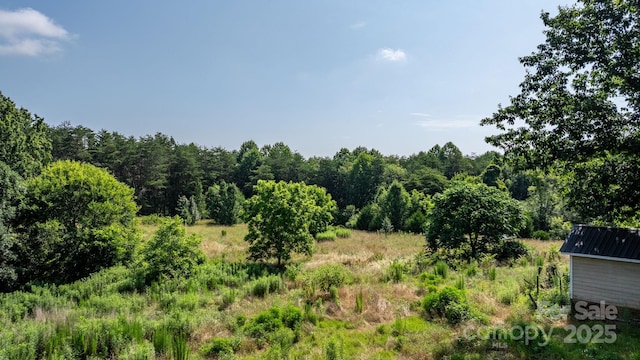 6314 Providence Church Rd, Vale, NC 28168 - view of tree filled area