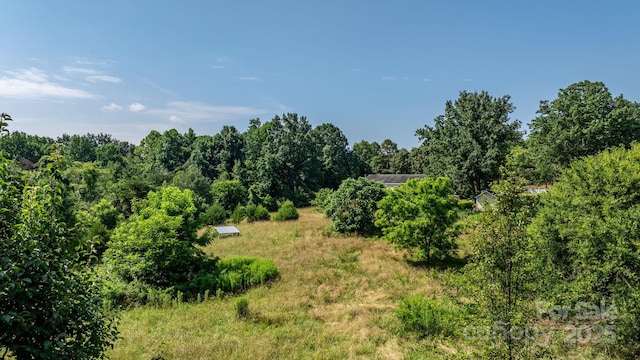 6314 Providence Church Rd, Vale, NC 28168 - view of local wilderness