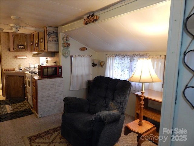 90 Park Pl, Maggie Valley, NC 28751 - photo 15