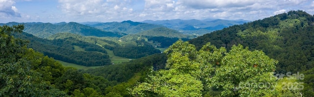 LOT22 Spring Rock Rd, Burnsville, NC 28714 - photo 1