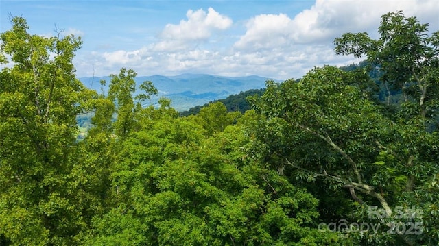 LOT22 Spring Rock Rd, Burnsville, NC 28714 - photo 2