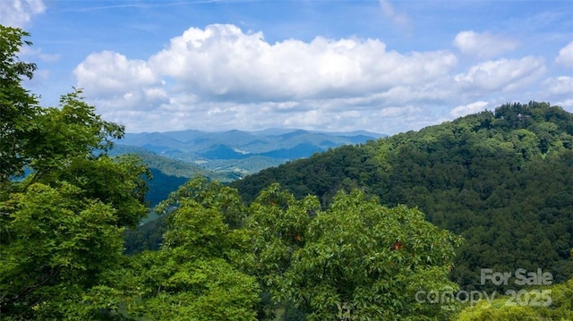 LOT22 Spring Rock Rd, Burnsville, NC 28714 - photo 3