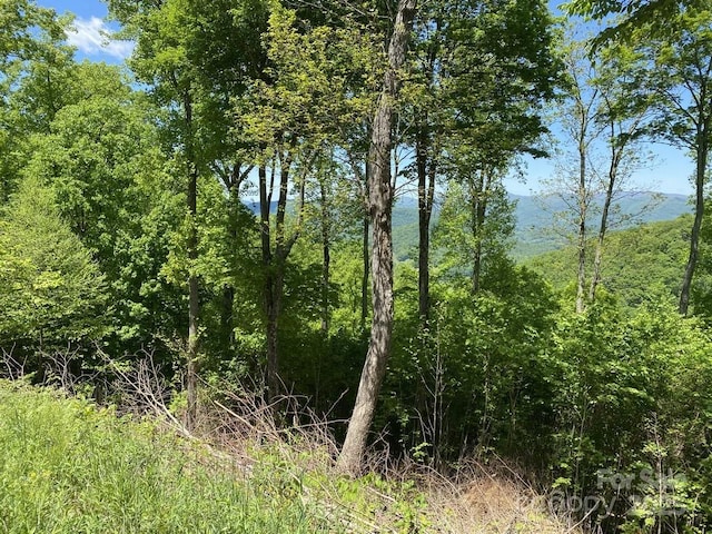 LOT22 Spring Rock Rd, Burnsville, NC 28714 - photo 5