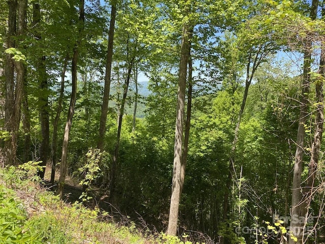 LOT22 Spring Rock Rd, Burnsville, NC 28714 - photo 6
