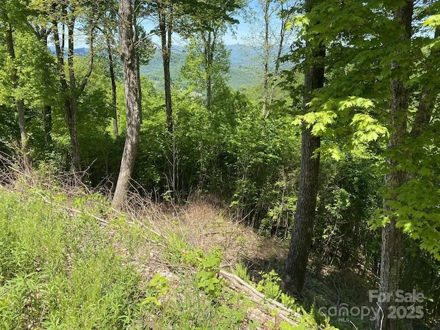 LOT22 Spring Rock Rd, Burnsville, NC 28714 - photo 7