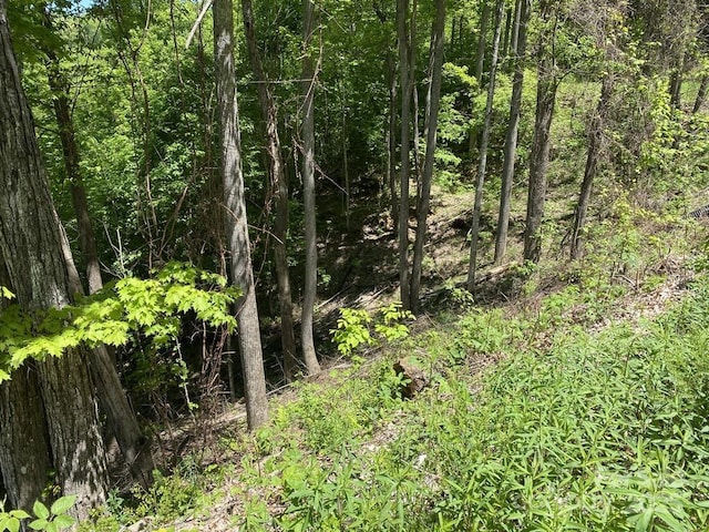 LOT22 Spring Rock Rd, Burnsville, NC 28714 - photo 8