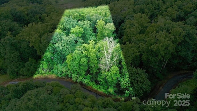 LOT22 Spring Rock Rd, Burnsville, NC 28714 - photo 10