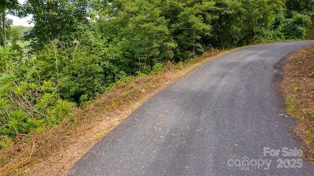 LOT22 Spring Rock Rd, Burnsville, NC 28714 - photo 11