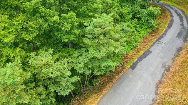 LOT22 Spring Rock Rd, Burnsville, NC 28714 - photo 12