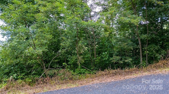 LOT22 Spring Rock Rd, Burnsville, NC 28714 - photo 13