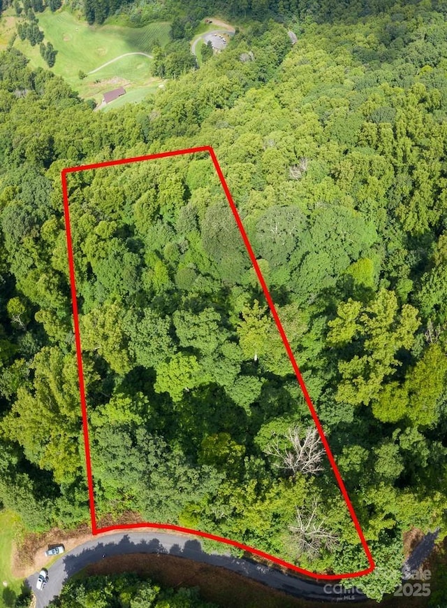 LOT22 Spring Rock Rd, Burnsville, NC 28714 - photo 14