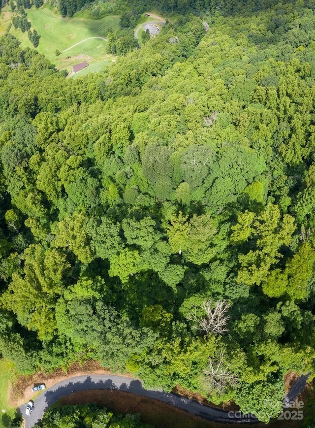 LOT22 Spring Rock Rd, Burnsville, NC 28714 - photo 15