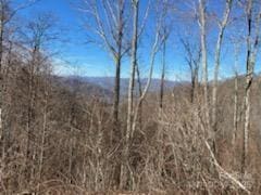 LOT22 Spring Rock Rd, Burnsville, NC 28714 - photo 16