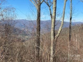 LOT22 Spring Rock Rd, Burnsville, NC 28714 - photo 17